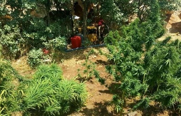 Diyarbakır’da zehir tacirlerine darbe