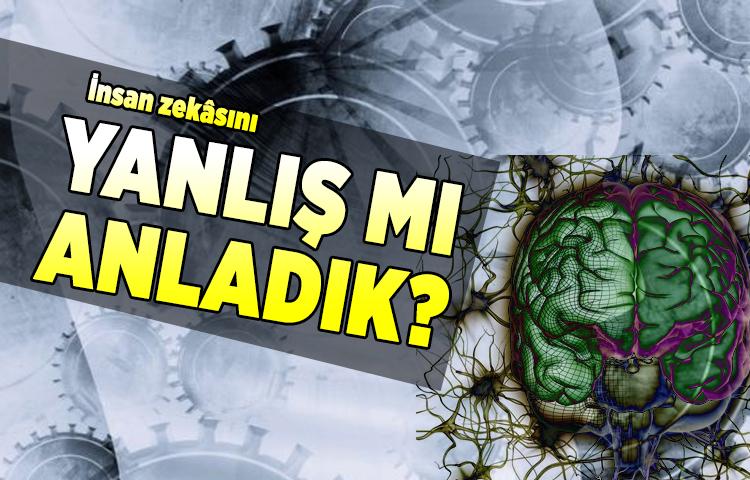 İnsan zekâsını yanlış mı anladık?