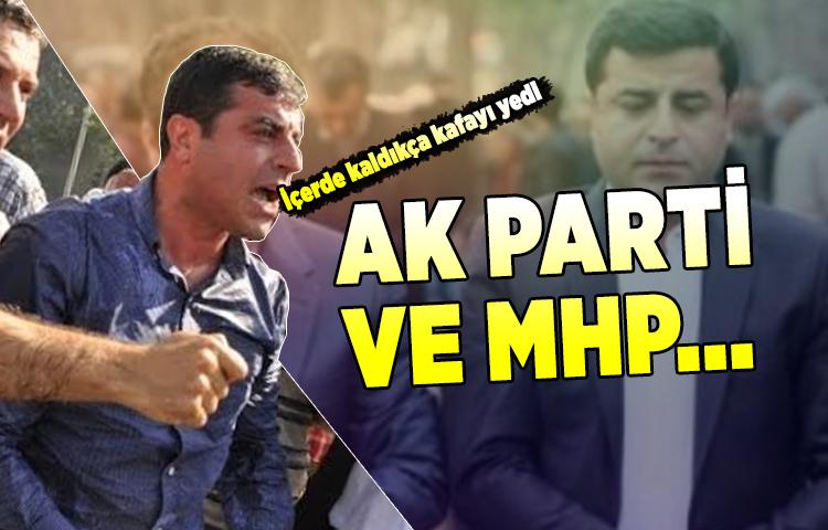 Demirtaş'tan Erken seçim mesajı!