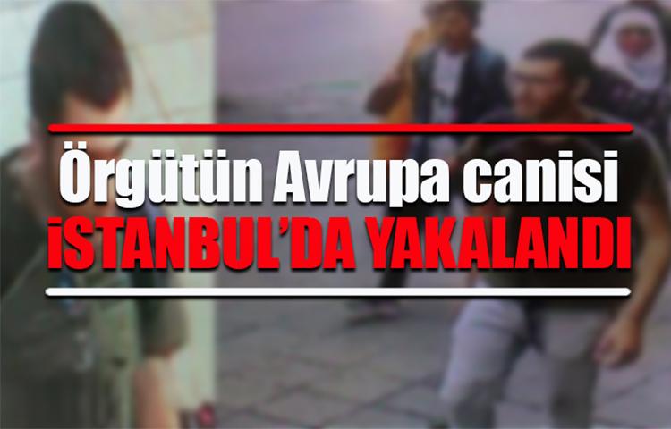 Örgütün Avrupa canisi İstanbul'da yakalandı!