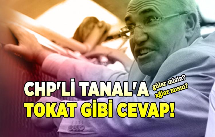 CHP'li Tanal'a tokat gibi cevap!