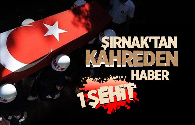 Şırnak'tan acı haber: 1 şehit