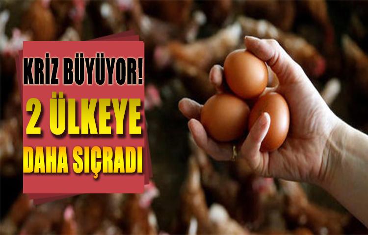 Kriz büyüyor! 2 ülkeye daha sıçradı