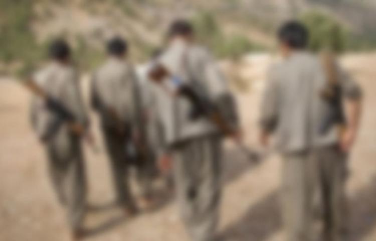 Kars'ta 5 terörist öldürüldü