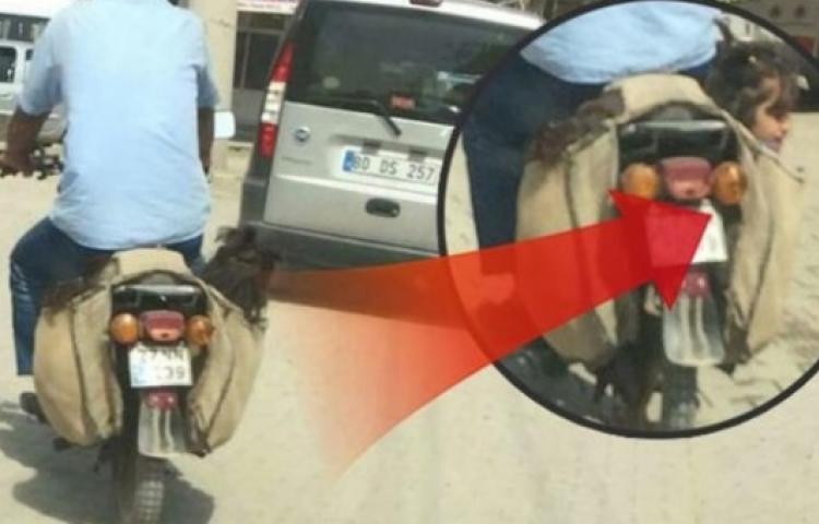 Bu kadarı da 'pes' dedirtti!