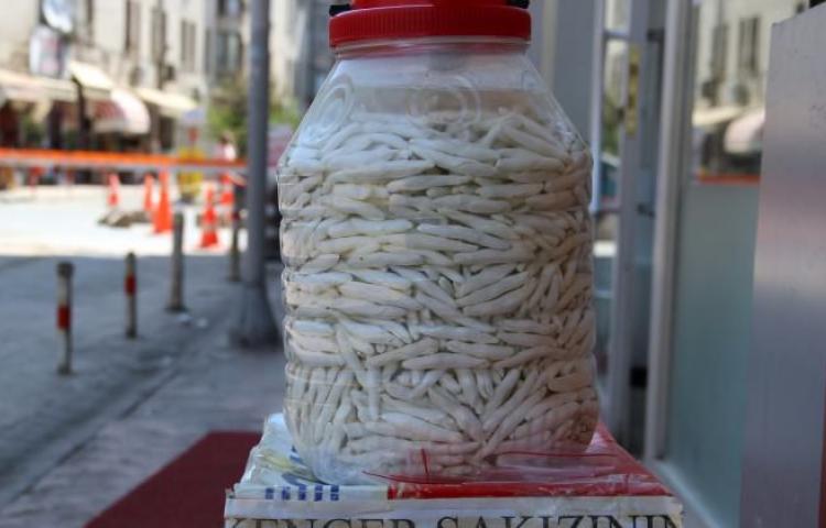 Fiyatını öğrenince dudağınız uçuklayacak!