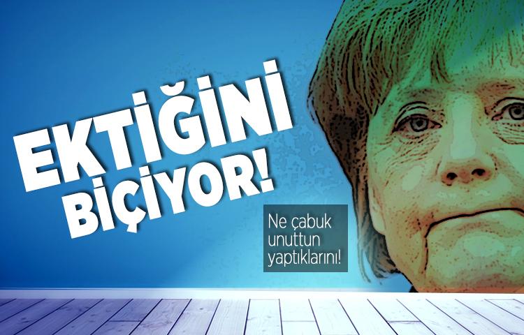 Almanlar ektiklerini biçiyor!