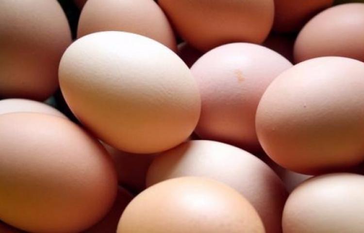 Yumurta krizi İtalya’ya da sıçradı