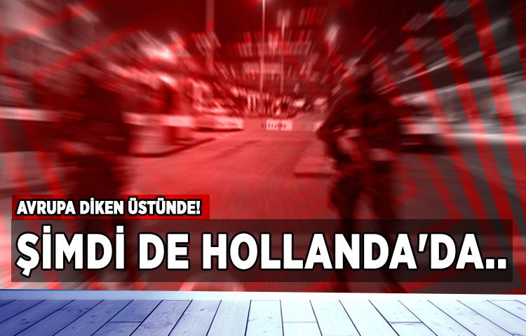 Hollanda'da terör alarmı!