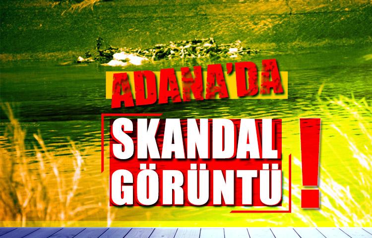 At ve Eşekleri Kesip Sulama Kanalına Atmışlar