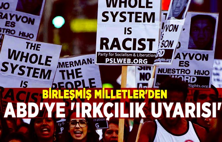 Birleşmiş Milletler'den ABD'ye 'ırkçılık uyarısı'