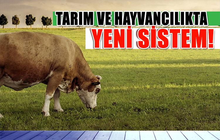 Bakan Fakıbaba tarımda çizilecek yolu açıkladı