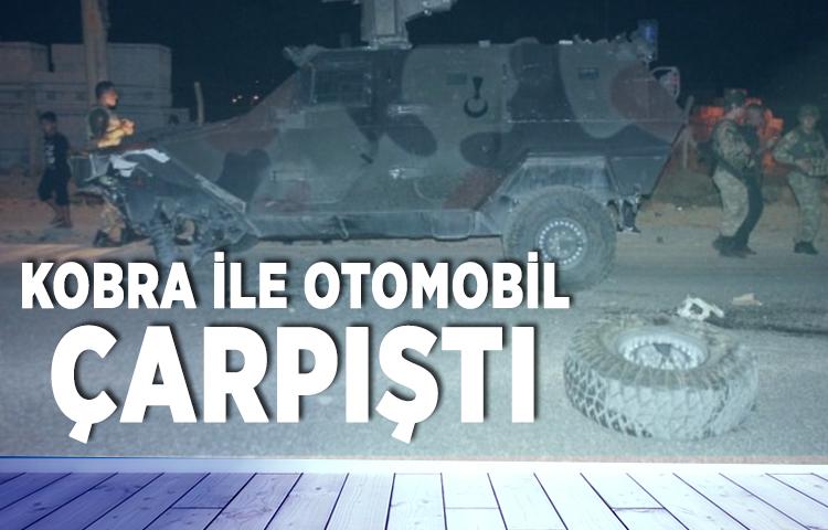 Kobra ile otomobil çarpıştı