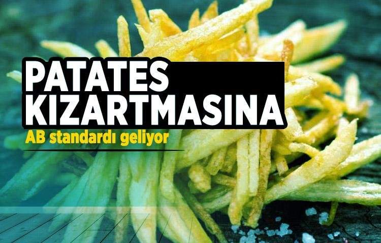 Patates kızartmasına AB standardı geliyor