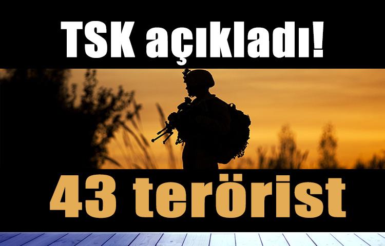 TSK açıkladı: 43 terörist öldürüldü