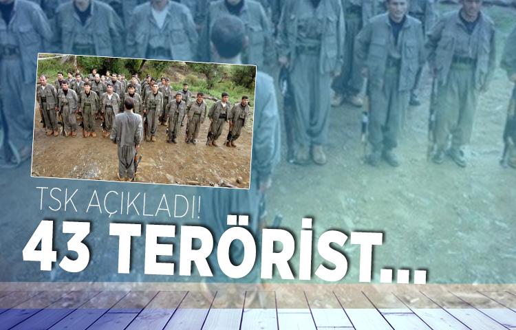 TSK açıkladı: 43 terörist...