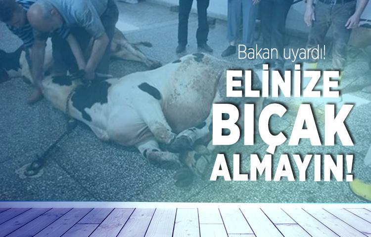 Sağlık Bakanı acemi kasaplar için uyardı