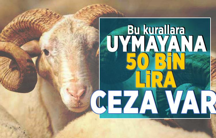 Bu kurallara uymayana 50 bin lira ceza var