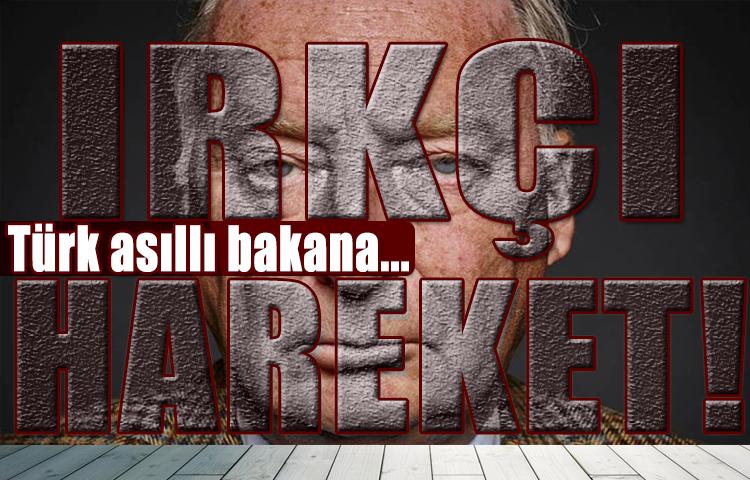 Almanya'da aşırı sağcı politikacıdan Türk asıllı bakana ırkçı hakaret