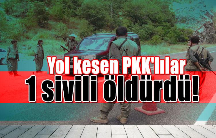 Yol kesen PKK'lılar 1 sivili öldürdü