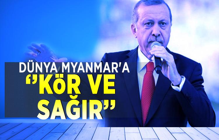 Erdoğan'dan dünyaya Arakan tepkisi