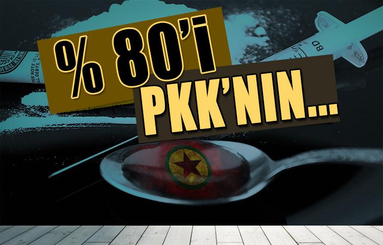 Emniyet açıkladı! Yüzde 80'i PKK'nın...