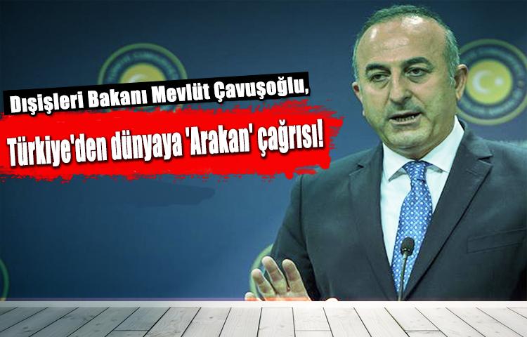 Türkiye'den dünyaya 'Arakan' çağrısı!