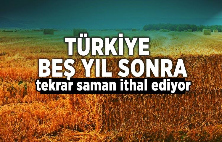 Türkiye beş yıl sonra tekrar saman ithal ediyor
