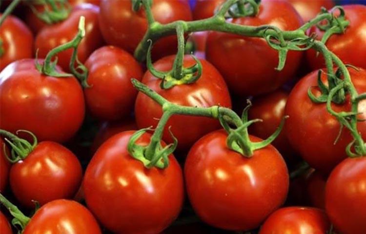 Rusya'dan flaş Türkiye açıklaması!