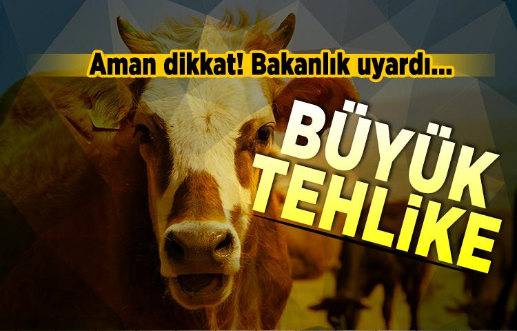 Bakanlık'tan kritik 'kurban' uyarısı!