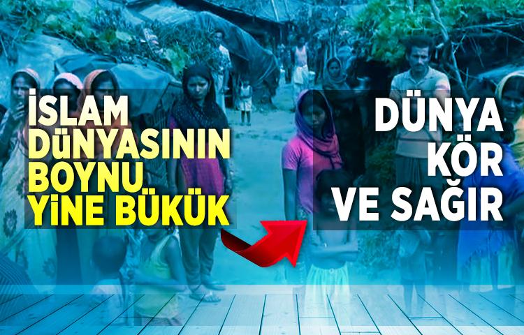 İslam dünyasının boynu yine bükük