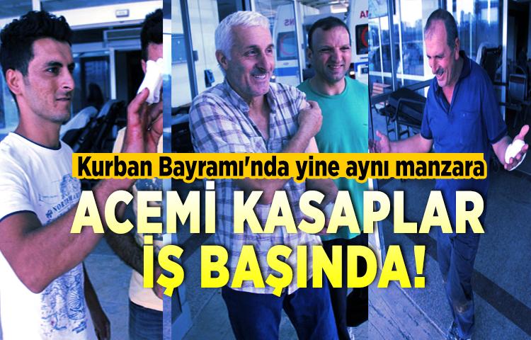 Acemi kasaplar iş başında