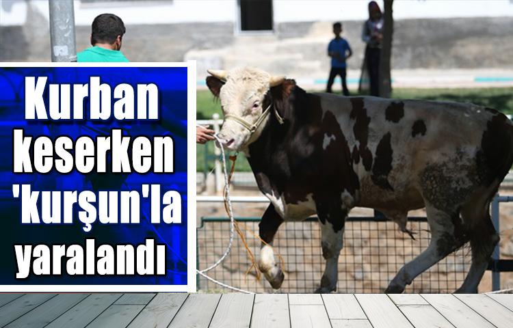 Kurban keserken 'kurşun'la yaralandı