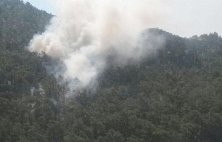 Milas'ta orman yangını