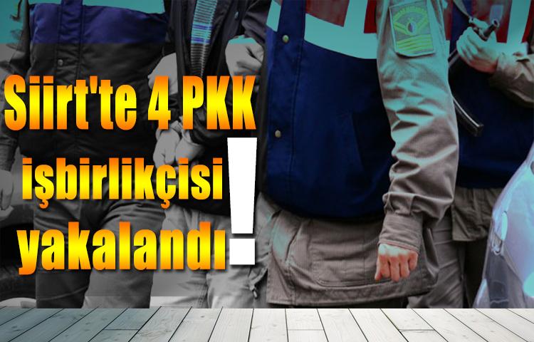 Siirt'te 4 PKK işbirlikçisi yakalandı
