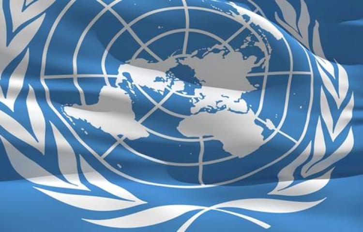 BM'den Arakan uyarısı