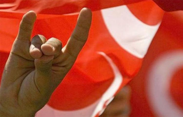 MHP'den Akşener'e 'Bozkurt' resti!