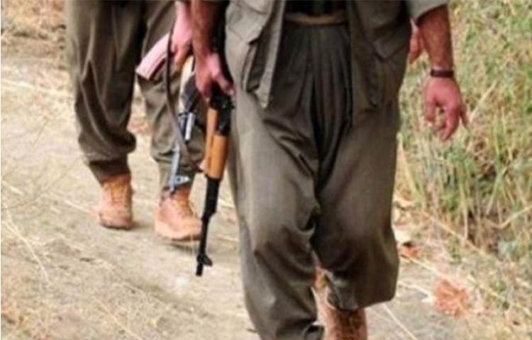 Terör Örgütün ağı çökertildi