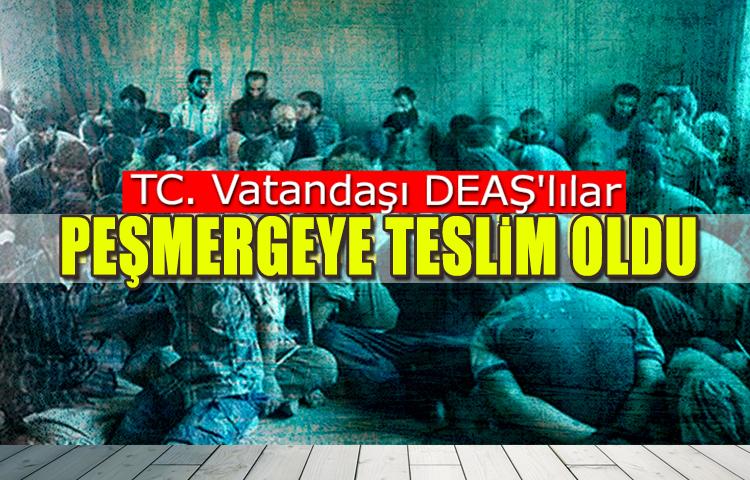 Türkiye Vatandaşı DEAŞ'lılar, Peşmergeye Teslim Oldu