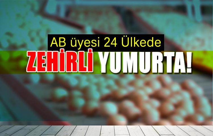 AB Üyesi 24 Ülkede Zehirli Yumurtaya Rastlandı