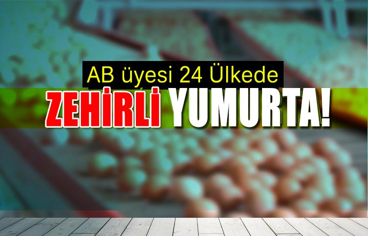 AB Üyesi 24 Ülkede Zehirli Yumurtaya Rastlandı