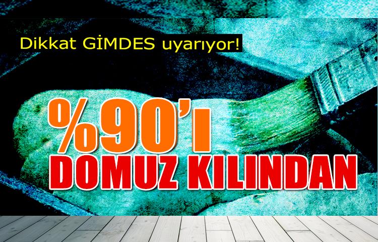 Fırçaların yüzde 90'nı domuz kılından yapılıyor