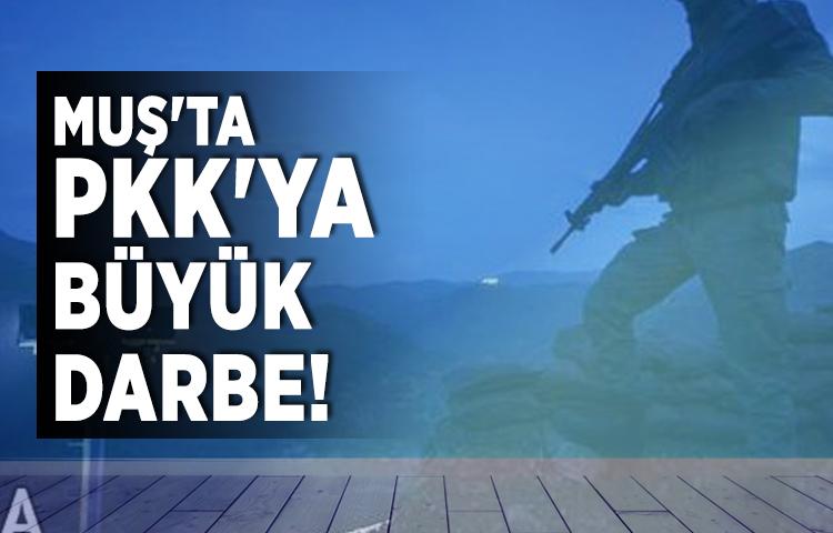 Muş'ta PKK'ya büyük darbe