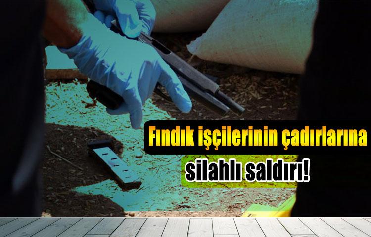 Fındık işçilerinin çadırlarına silahlı saldırı!