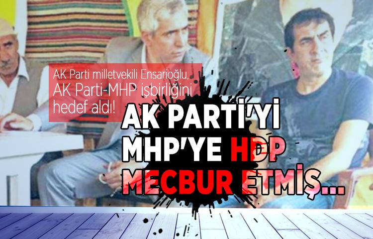 AK Parti milletvekili Ensarioğlu, AK Parti-MHP işbirliğini hedef aldı