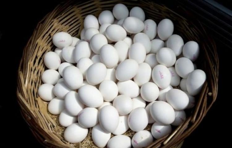 Zehirli yumurta açıklaması yapıldı!
