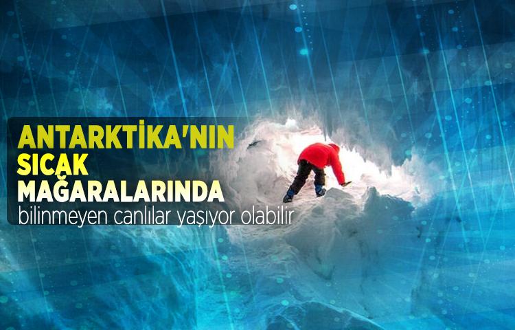 Antarktika'nın sıcak mağaralarında bilinmeyen canlılar yaşıyor olabilir