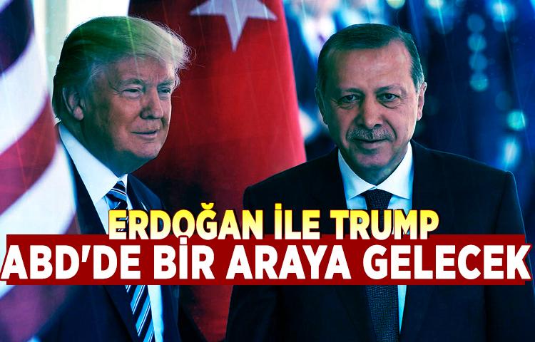 Erdoğan ile Trump ABD'de bir araya gelecek