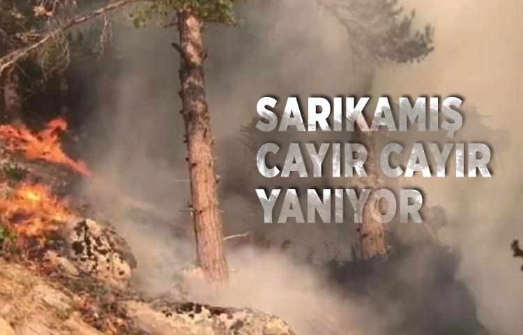 Sarıkamış cayır cayır yanıyor