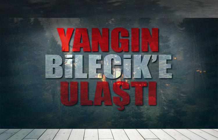 Kütahya'da Çıkan Orman Yangını Bilecik'e Ulaştı